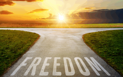 The Key to Building Wealth: Practical Steps to Achieve Financial Freedom