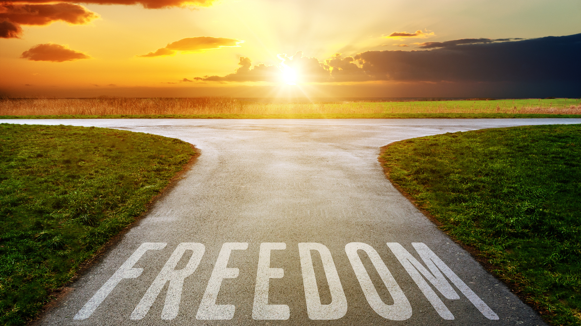 The Key to Building Wealth: Practical Steps to Achieve Financial Freedom