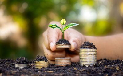 Finding the Right Professionals to Help You Achieve Financial Freedom