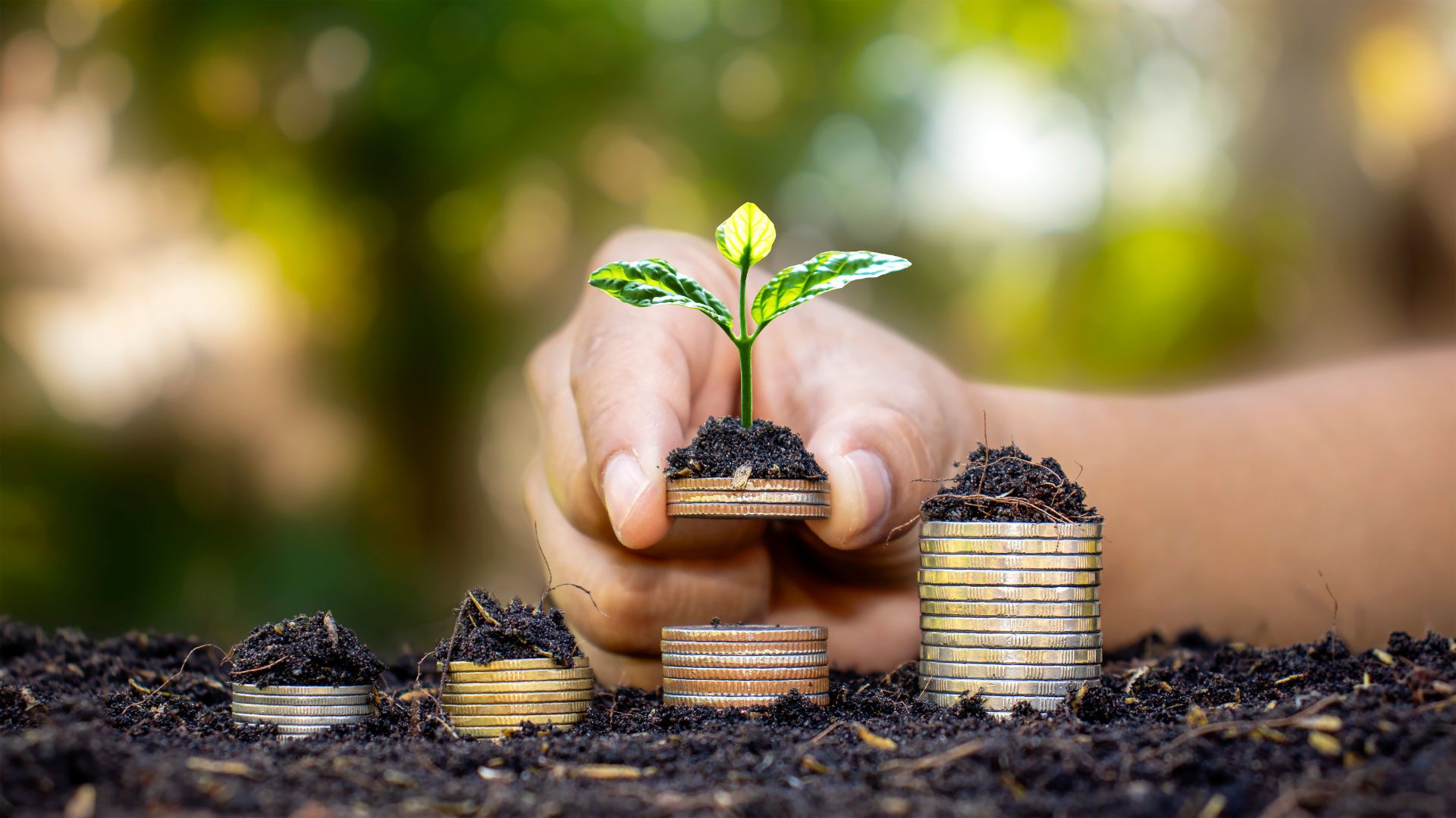 Finding the Right Professionals to Help You Achieve Financial Freedom