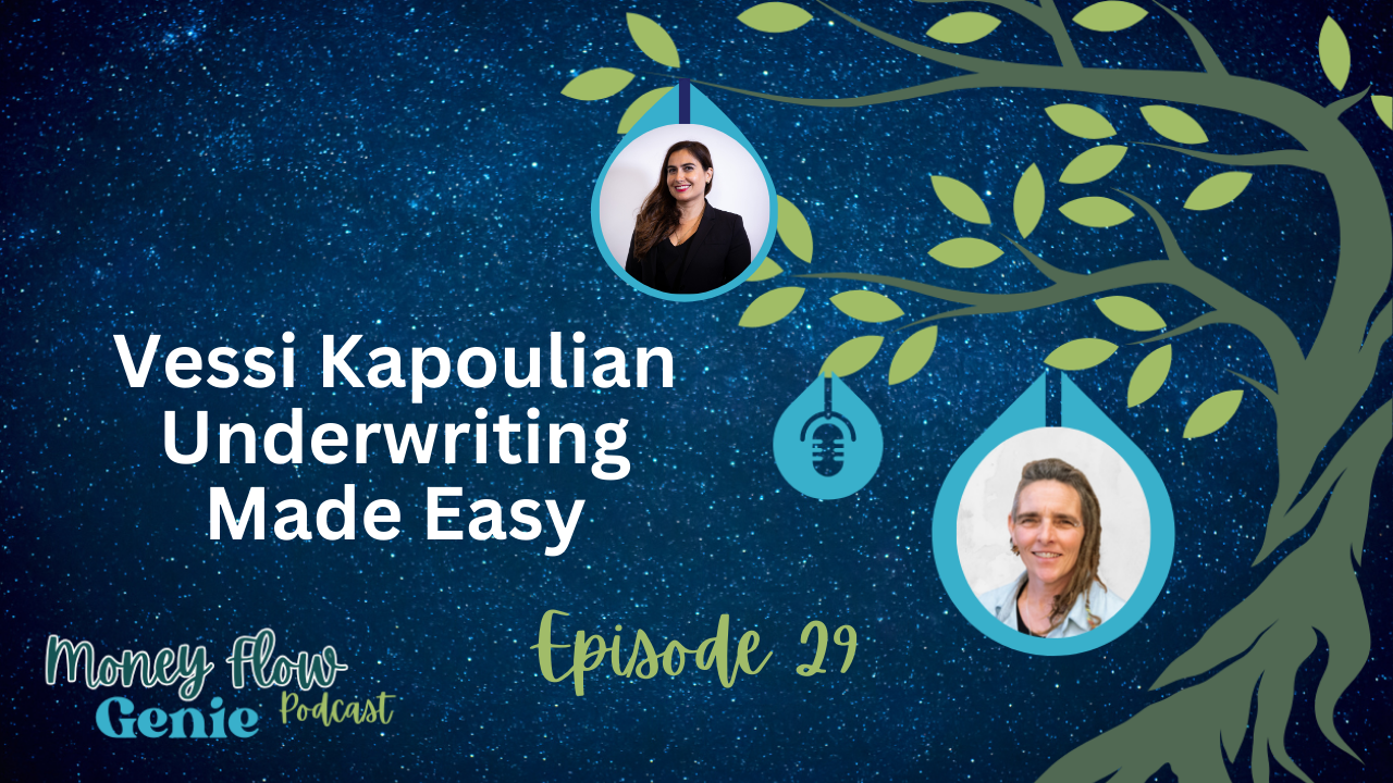 Maria Cherjoysky moneyflow genie