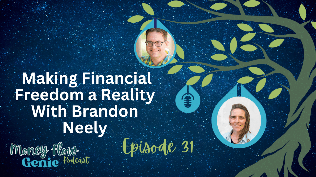 Maria Cherjoysky moneyflow genie