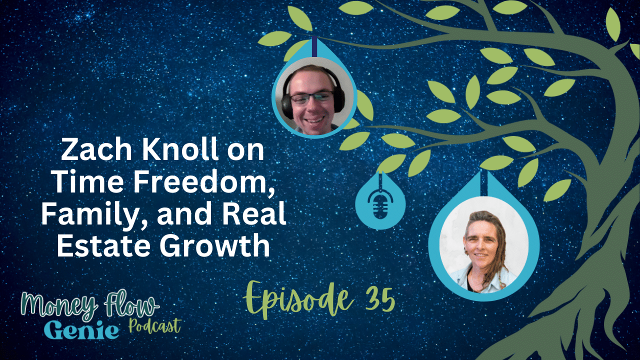 Maria Cherjoysky moneyflow genie