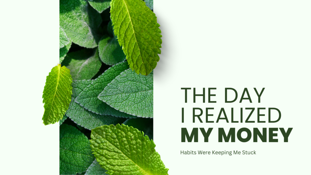 money habits and financial freedom journey in the USA