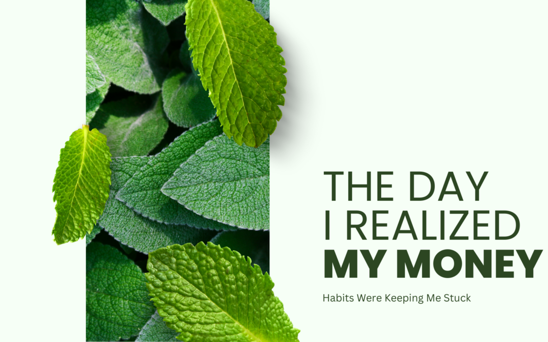 money habits and financial freedom journey in the USA